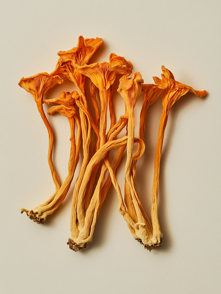 Ingredient Spotlight: Cordyceps